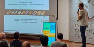 WCM 2025: Nico’s talk