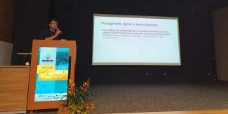 WCM 2025: Paul’s talk (2)